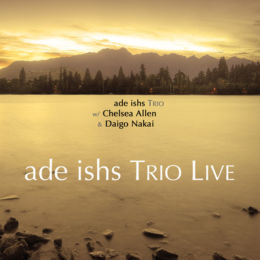 ade ishs Trio Live